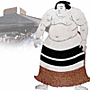 Sumo's Avatar